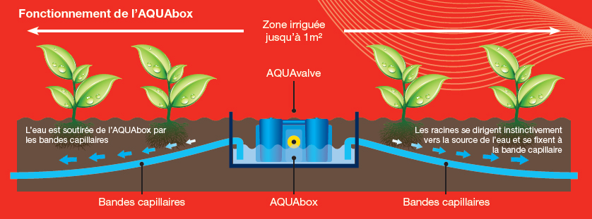 autopot - aquabox autopot - aquabox